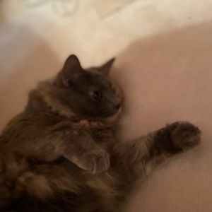 Meet your Posher, Elyse